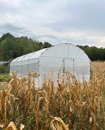 Solar gradina Teava neagra home